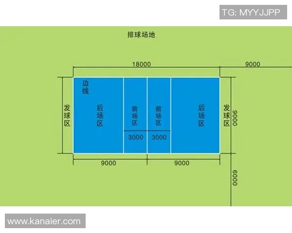 武汉排球队技术对比深度分析与未来发展趋势探讨