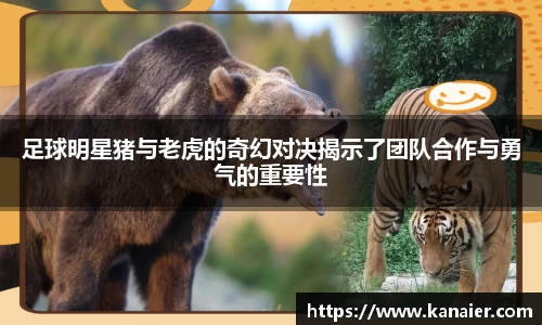 足球明星猪与老虎的奇幻对决揭示了团队合作与勇气的重要性